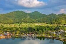 舞会与森林手机版-舞会与森林，手机版游戏的新奇融合