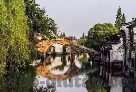 悉尼足球比分-悉尼足球比分，赛场风云背后的城市激情与足球文化