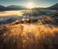 足球即时比分了-足球即时比分，数字跃动间的激情与策略交响